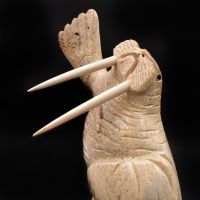 WALRUS DANCER